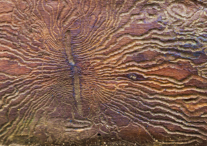 Holzwurm nachhaltig bekämpfen Berlin